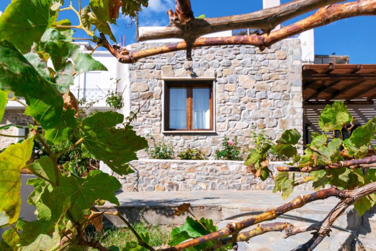 Villa Maria Stavrokhorion Εξωτερικό φωτογραφία