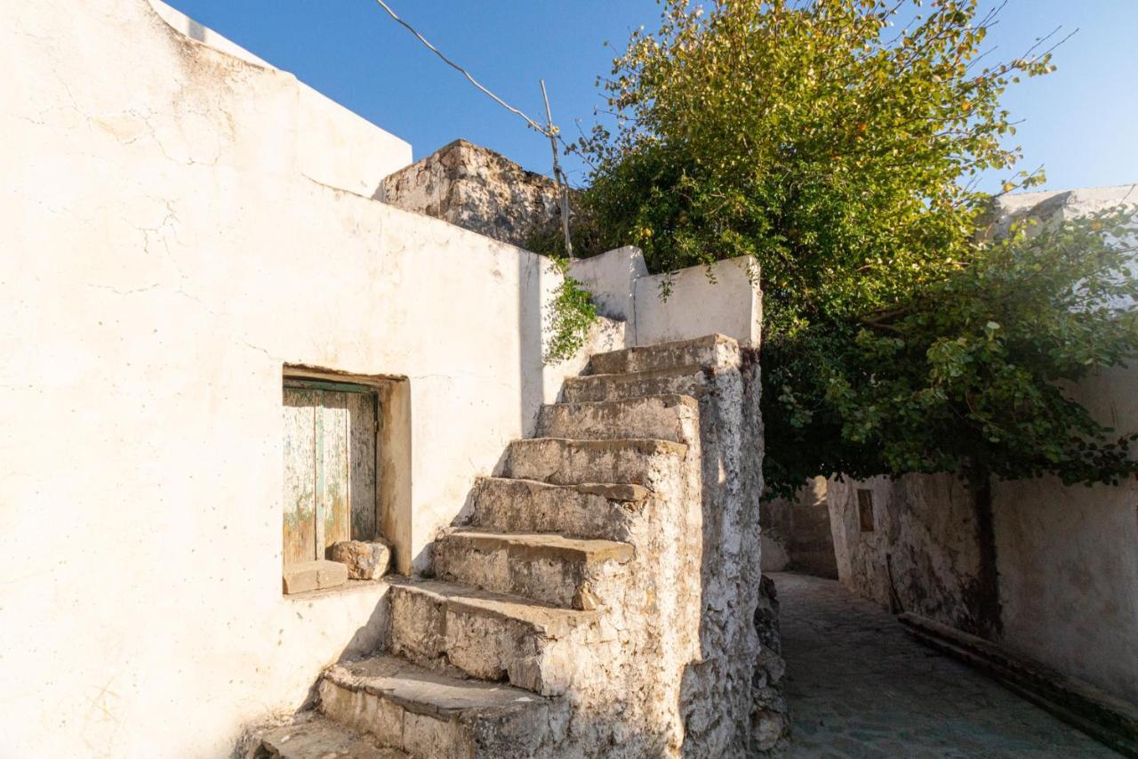 Villa Maria Stavrokhorion Εξωτερικό φωτογραφία